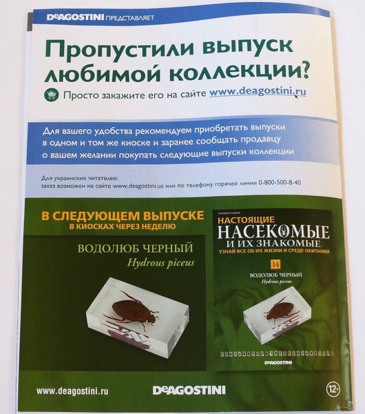Водолюб насекомые и их знакомые водолюб насекомые и их знакомые