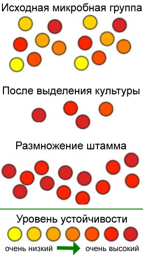 Реферат: Генетический скрининг